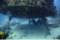 Photo Reference of Shipwreck Sudan Undersea 0032